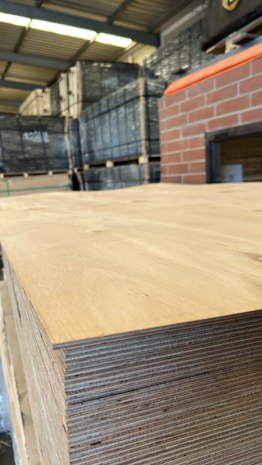 F22 bracing 920 x 2740 4mm